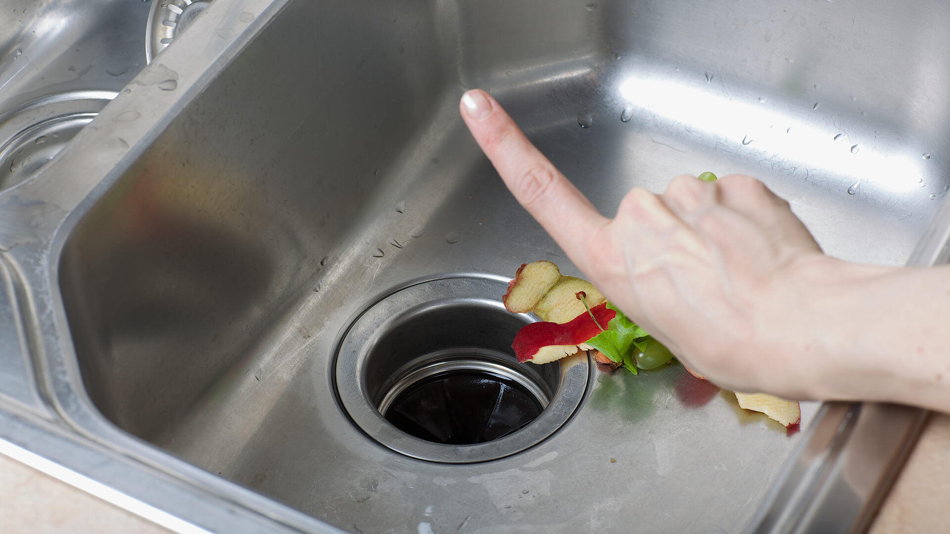 foods not to put in garbage disposal 1